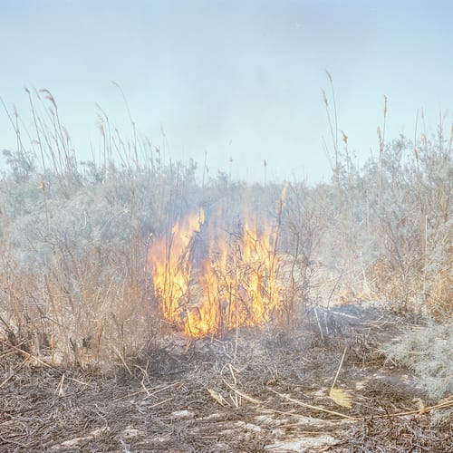 The reeds of the dried land in Hamun Lake automatically catch fire because of excessive dryness and hot sunlight, causing a huge fire in the dried land of the lake. The firefighter cars are there to extinguish the fires during hot seasons. © Hashem Shakeri