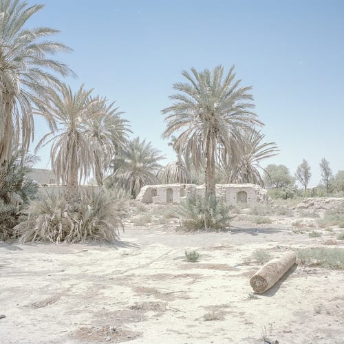 Severe lack of water and drought have caused the palm trees to dry out, and people have left their houses and moved to other cities because of unemployment and water crisis. Pelgi Village, Edimi Town, Sistan. © Hashem Shakeri