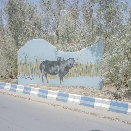 Hashem-Shakeri14.jpg