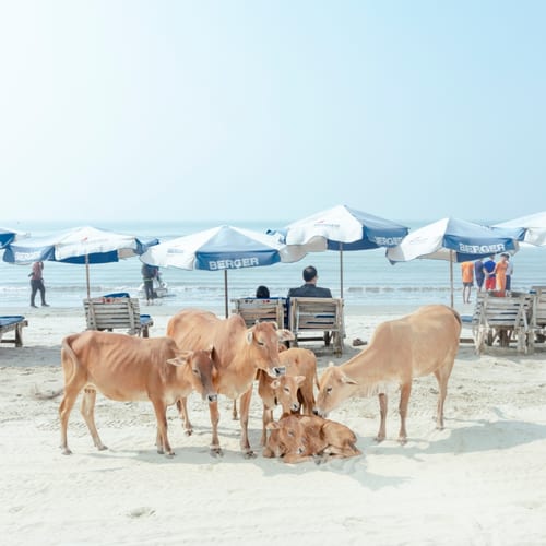 20_ismail_ferdous_sea_beach.jpg